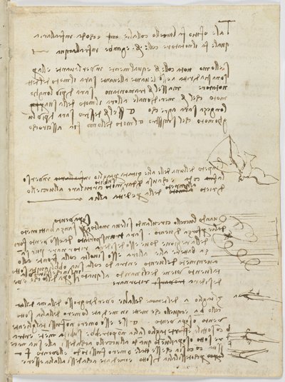 Código sobre el vuelo de los pájaros, c. 1505-06, manuscrito en papel, cc. 18, hoja 10 recto de Leonardo da Vinci